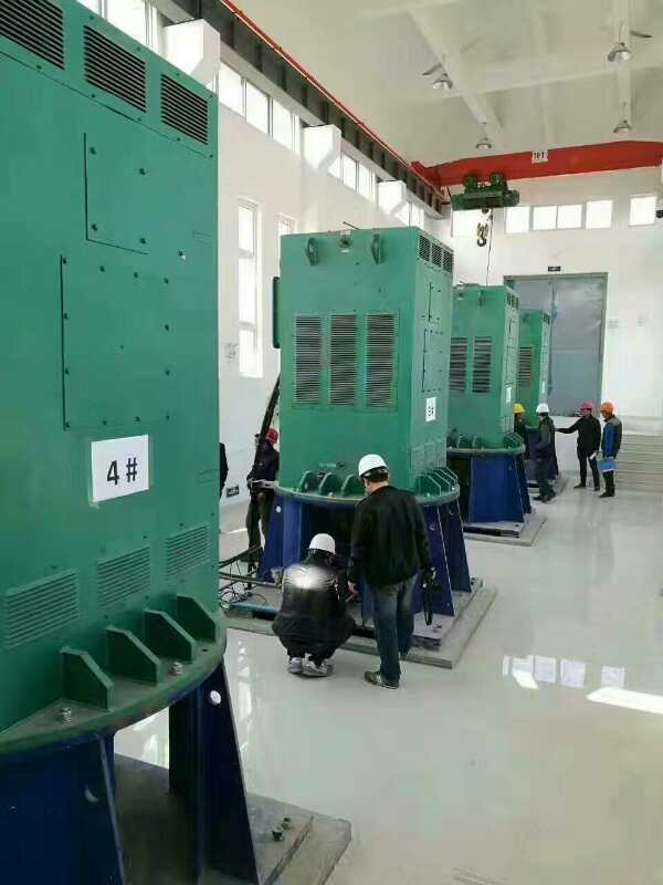洪泽某污水处理厂使用我厂的立式高压电机安装现场生产厂家